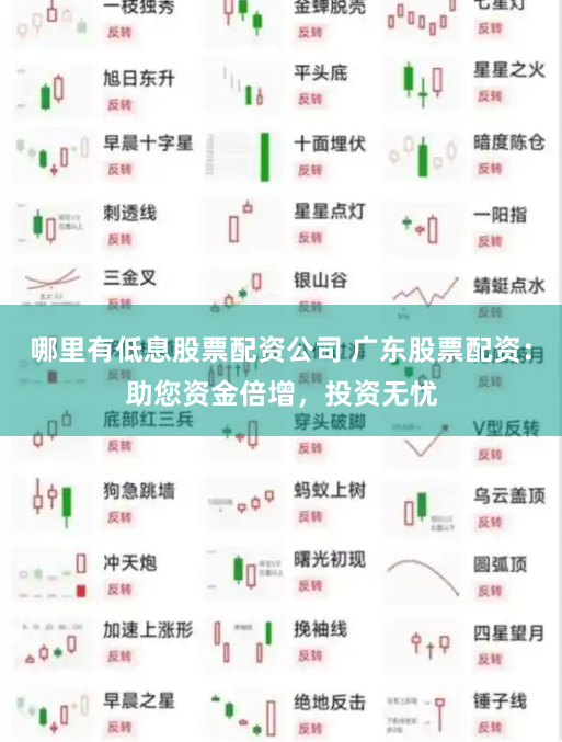 哪里有低息股票配资公司 广东股票配资：助您资金倍增，投资无忧